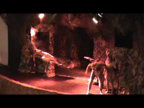 Lion King part 16