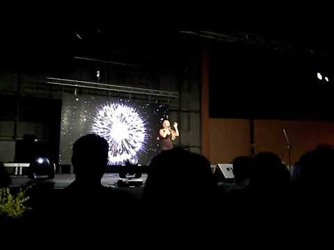 Anja Nissen no Eurovision Live Concert 2017