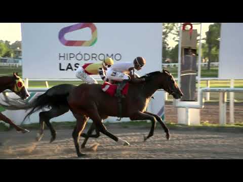 211126 c10 - GLORIOSO SHEIK - HIPODROMO LAS PIEDRAS