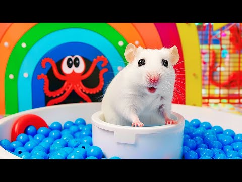 World's Largest Ball Maze - Hamster's Epic Prison Maze Escape | Hamster Maze