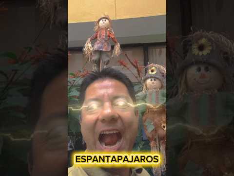ESPANTAPÁJAROS. #hensercamposfuturogobernador #espantapajaros #elguacamayo #santander #viralvideo