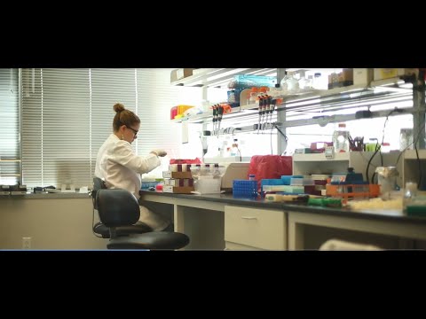 Integral Molecular: Who We Are