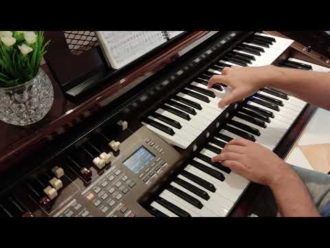 Hino 142: Ó Pai celestial |CCB| Tokai MD-750 GOLD