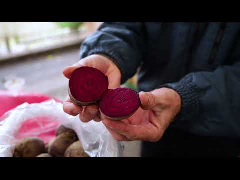 Ceger ep.122 - Pijaca Zvezdara - 02.01.2020.