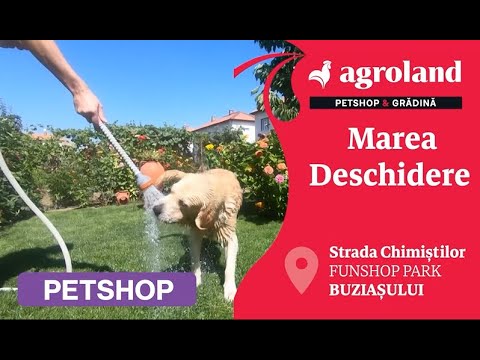 🛒 Un NOU magazin Agroland Mega se deschide în Timișoara din 𝟭𝟮 𝗺𝗮𝗶! 🎈