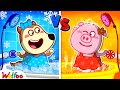 NEW Ice Princess Vs Fire Princess ️ Hot VS Cold Challenge Cartoon For Kids Wolfoo Channel