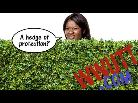 What is a Hedge of Protection?