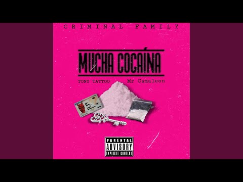 Mucha Cocaina (feat. Tony Tattoo & Mr Camaleon)