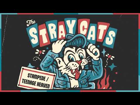 The Stray Cats - Teenage Heaven (Official Visualizer)