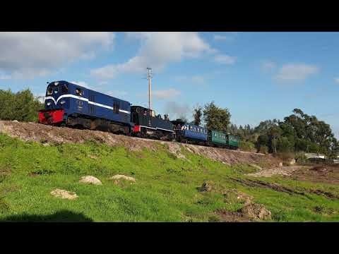 Comboio Especial n.º 20802 (Comboios Históricos na Linha do Vouga) - Azurva