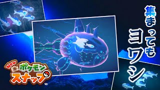 【実況】どんなに集まってもヨワシ「Newポケモンスナップ」＃11