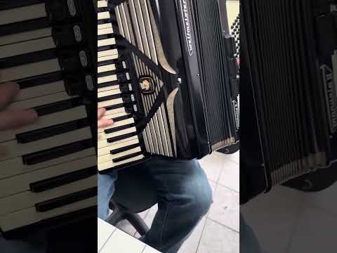 TOP German Made Piano Accordion Weltmeister Manuela II - 80 bass, 8 reg. (5+3) + Hard Case & Shoulder Straps ~ Akkordeon image 18
