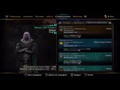 Neverwinter mod 23 bard Heal /buff build