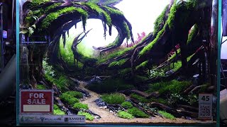 Hasil Kontest Bekasi Aquascape Community | 20 Tank Pilihan | Settingan-nya serem-serem bener....