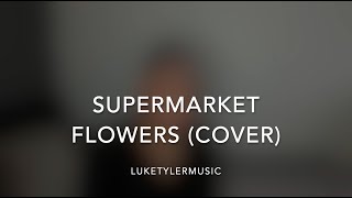 Supermarket Flowers - Ed Sheeran (LukeTylerMusic Cover)