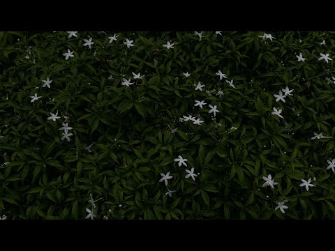 T2TEEN - ยังจำวันแรก ( Prod.HALLHOT )