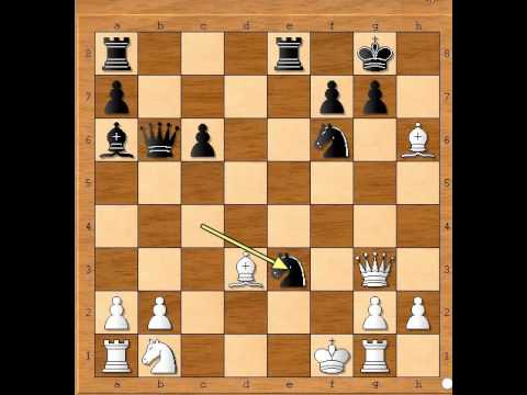 Ponekad nije lako matirati kao "Osmogodišnjak " MAS vs GANGULY - Napad Fried Liver # 715