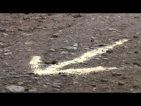 32. Sachsenlauf Coswig 2011