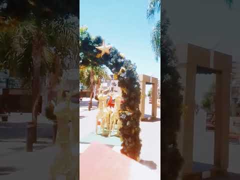 #Trineo #Renos #Peatonal #SanJusto #LaMatanza #BuenosAires #2026 #Conurbano #VideoViral #Tendencia