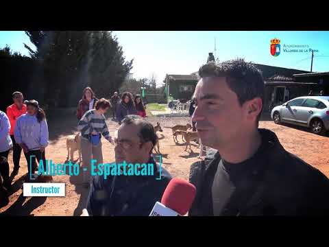 CURSO CANINO EN VILLARES DE LA REINA