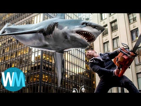 Funny animal videos - Funny Shark Attack 