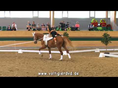 Janine Wagenlechner (AUT) - CVI2 Female 01 - CVI Ebreichsdorf 2017