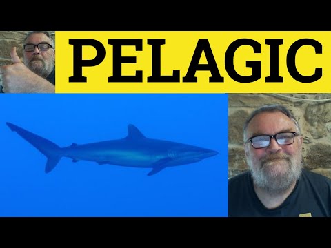 🔵 Pelagic Meaning - Pelagic Examples - Pelagic Definition - Formal English