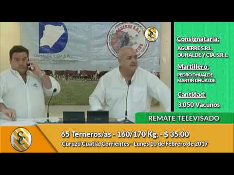 10-04-17 - Venta de Invernada - Televisado de Aguerre & Duhalde - Corrientes