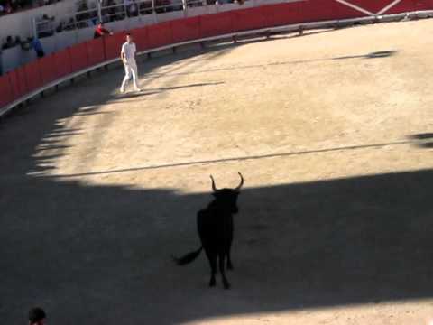 Course Camarguaises Part 1