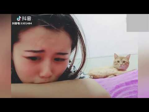 DONOS E SEUS ANIMAIS ENGRAÇADOS 2021 - 🐕 CÃES E GATOS 2021 - #04