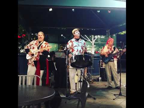 Promotional video thumbnail 13 for Panjive Steel Drum Entertainment