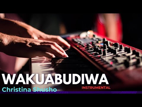WAKUABUDIWA INSTRUMENTAL | CHRISTINA SHUSHO | SWAHILI WORSHIP BEATS #swahiliworship