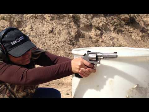 Adjustable Rear Sight Elevation and Windage