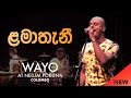 WAYO Live Lamathani ළමාතැනී