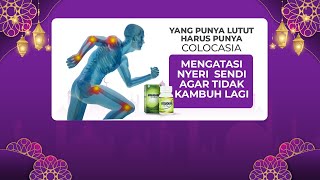 Download lagu COLOCASIA SUPLEMEN PENAMBAH PELUMAS LUTUT mp3 Download lagu COLOCASIA SUPLEMEN PENAMBAH PELUMAS LUTUT mp3