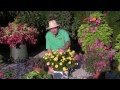 Plants And Flowers 2013 Standout Performers Part 1
