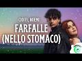 Cioffi, Noemi - FARFALLE (NELLO STOMACO) Testo/Lyrics