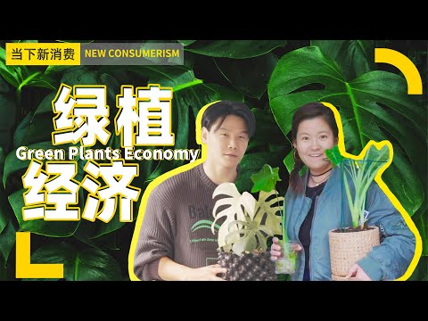 綠植