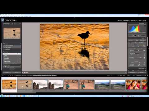 RAW vs DNG - A Practical Overview of the Differences