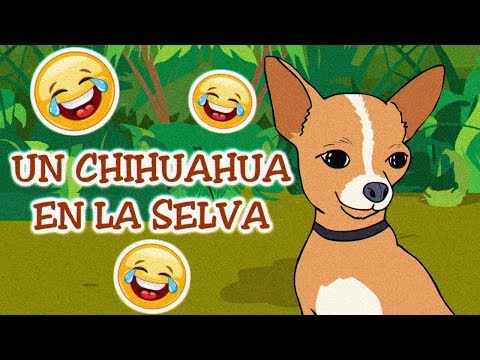 In totale su vermi con esempi e una fotografia Parassiti di una chiarificazione del corpo umana