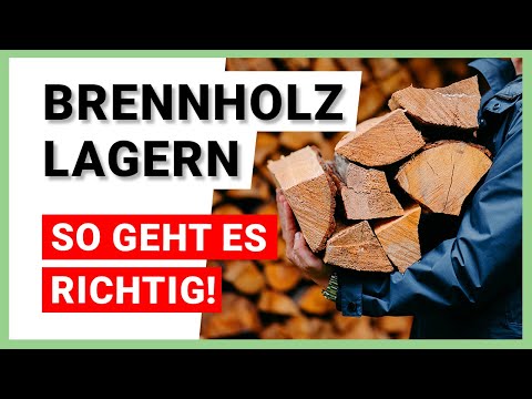 Storing firewood: How to do it right