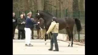 Video von Carento