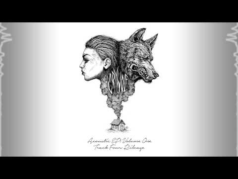 Video thumbnail for Ribcage (Acoustic)