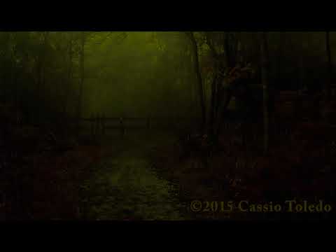 Rain and Native American Flutes   Relaxing Music