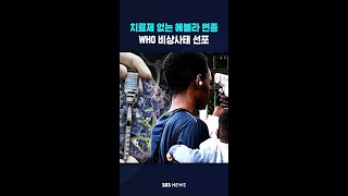 "확산 위험 높다" WHO 비상사태..치료제 없는 '분디부교' 공포 #shorts