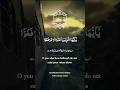 Surah Al Hujurat By Qari Mishary Rashid Alafasy Viralvideo Trending Short Islamic Videopart 02
