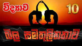 Grade 10 Science| බල සමතුලිතතාව | Equilibrium of Forces | Grade 11 Science | OL Science | Vidhyawa