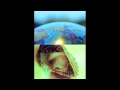Tortoise - The Lithium Stiffs