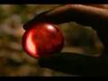 Wild Force Demo Theme