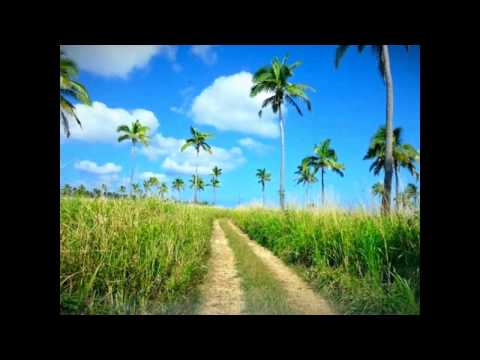 Si'eku Lupe by Ratland Entertainment (Tongan Song)